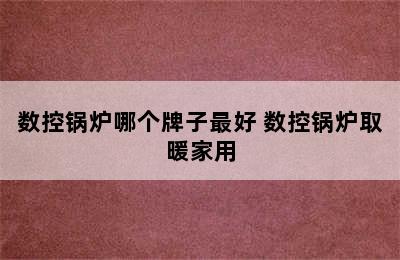 数控锅炉哪个牌子最好 数控锅炉取暖家用